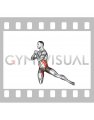 Half Kneeling Torso Twist (male)