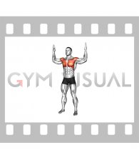 Standing 90 degrees Arms Rotation (male)