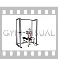 Band Seated Twist