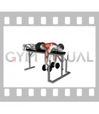 Dumbbell Lying Seal Row on Rack