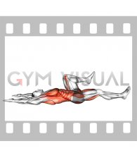 Bicycle Crunch Floor Touch (male)
