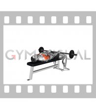 Barbell Lying Front Raise (male)