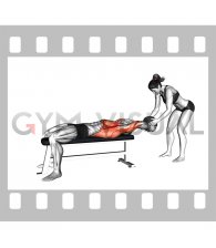 Medicine Ball Pullover Catch (male)