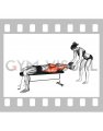 Medicine Ball Pullover Catch (male)