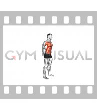 Standing Leaning Back Stretch