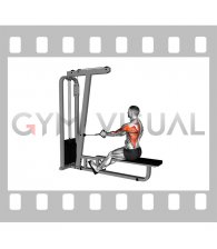 Cable Seated One Arm Alternate Row