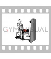 Lever Seated Hip Adduction