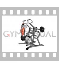 Lever Lateral Pulldown (plate loaded)