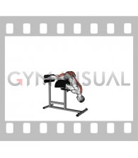 Glute Ham Raise (VERSION 2)