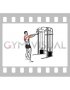 Cable Standing Face Pull (with rope)