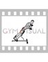 Dumbbell Hyperextension (male)