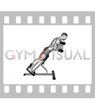 Dumbbell Hyperextension (male)