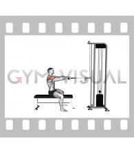Cable Seated Row to Neck (rope attachment)