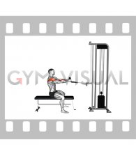 Cable Seated Neutral grip Row to Neck (rope attachment)
