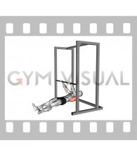 Shoulder grip Inverted Row (male)