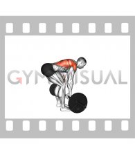 Barbell Bent Over Flexion Row (back)