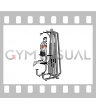 Lever Graviton Assisted Dip (male)