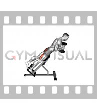 Dumbbell Single Leg Hyperextension (male)
