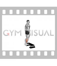 Bodyweight Single Leg Calf Raise on a Stepbox (male)