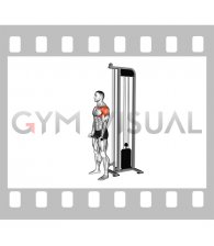 Cable Reverse Grip Front Raise (male)