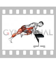 Cross Body Mountain Climber Hop over Bench