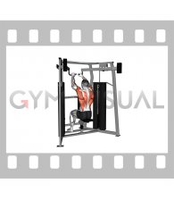 Lever High Row (male)