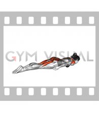 Prone Cobra Palms Under Thighs (female)