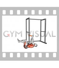 Resistance Band Anti Rotation Dead Bug