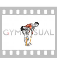 Resistance Band Bent Over Neutral Grip Row