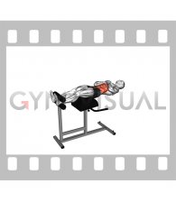 Glute Ham Developer Sit-up and Russian Twist