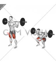 Barbell Full Squat