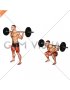Barbell Full Squat