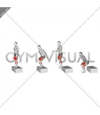 Box Jump Drop 2 Foot Land (male)