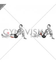 Seated Single Leg Knee Flexion (male)