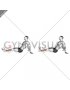 Seated Single Leg Tibialis Press (male)