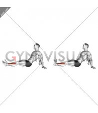Seated Single Leg Tibialis Press (male)