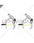 Resistance Band Standing Single Leg Knee Extension (male)