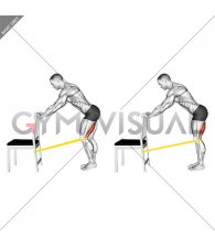 Resistance Band Standing Single Leg Knee Extension (male)