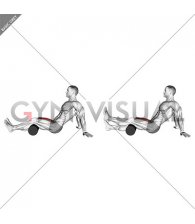 Seated Single Leg Knee Extension (male)