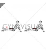 Seated Single Leg Knee Extension (VERSION 2) (male)
