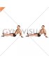 Seated Single Leg Knee Extension (VERSION 2) (male)