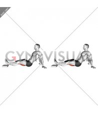Weighted Seated Single Leg Knee Extension (VERSION 2) (male)