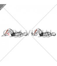 Lying Bent Knee Tibialis Press (male)