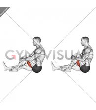 Seated Single Leg Hugging Knee Flexion (male)