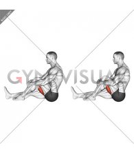 Seated Single Leg Hugging Knee Flexion with Towel (male)