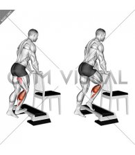 Standing Single Leg Concentration Calf Raise (male)