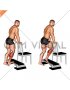 Standing Single Leg Concentration Calf Raise (male)