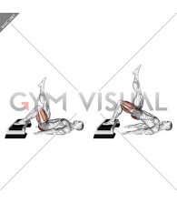 Elevated Single Leg Bridge (male)