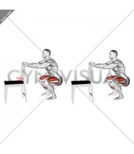 Squat Mobilization (male)