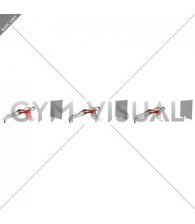 Plank Alternating Hit the Ball (male)